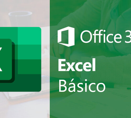 MS Excel 365, nivel básico